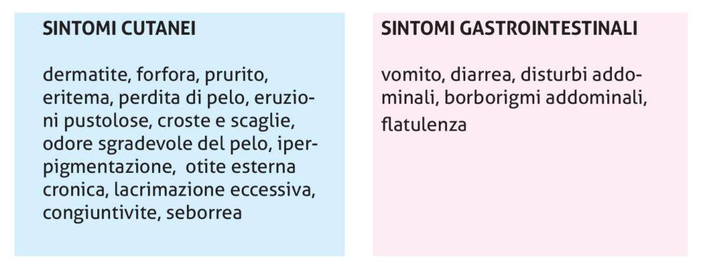 Le minacce al benessere del tuo cane