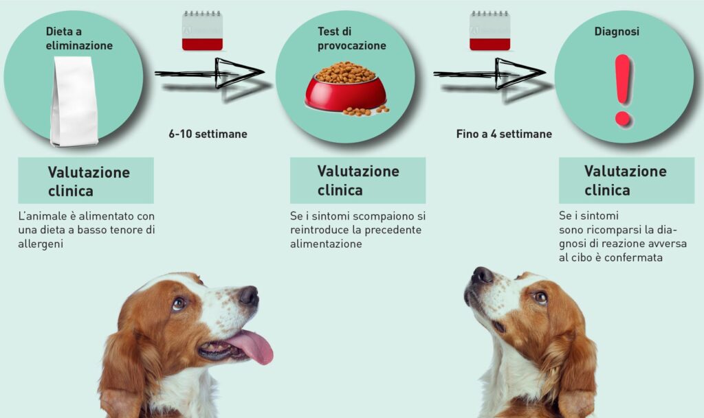 Reazioni avverse al cibo &#8211; Sintomi frequenti