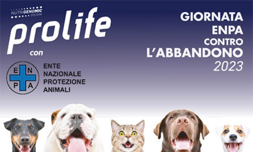 Prolife for life: Cani attivi, l’alimentazione su misura